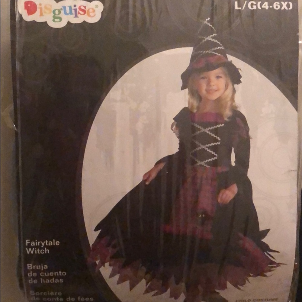 Fairytale Witch Halloween costume